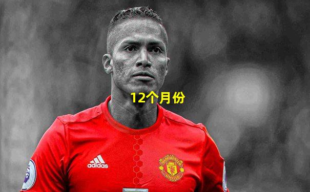 12个月份