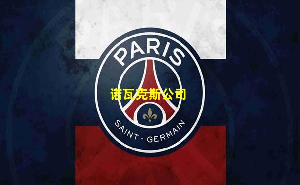 诺瓦克斯公司